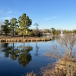 Lake at the club